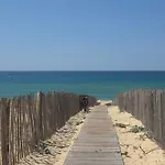 Airial Landais ميميزا بلاج